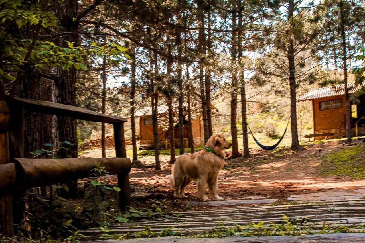 Chales Sitio Do Tanque Conceição da Ibitipoca Exteriör bild